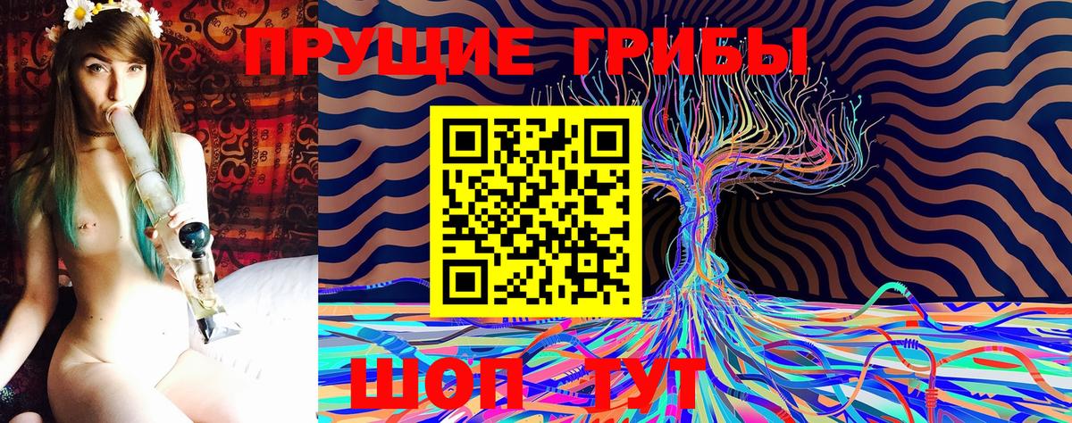 Псилоцибиновые грибы прущие грибы  Псилоцибиновые грибы прущие грибы  Вход с VPN  Ейск 